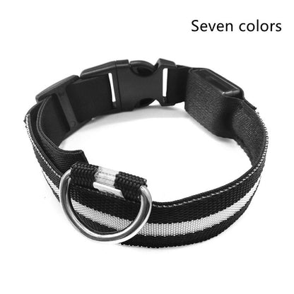 LED Luminous Dog & Cat Collar — Night Safety Flashing Glow-in-Dark Leash