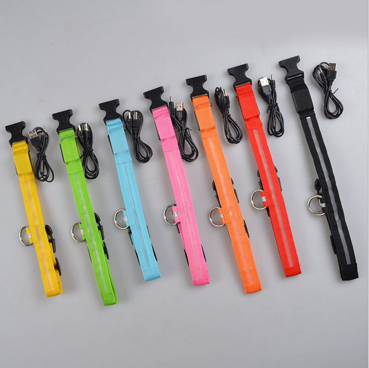 LED Luminous Dog & Cat Collar — Night Safety Flashing Glow-in-Dark Leash