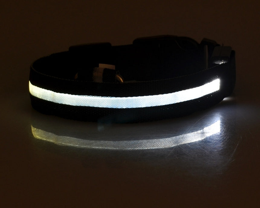 LED Luminous Dog & Cat Collar — Night Safety Flashing Glow-in-Dark Leash