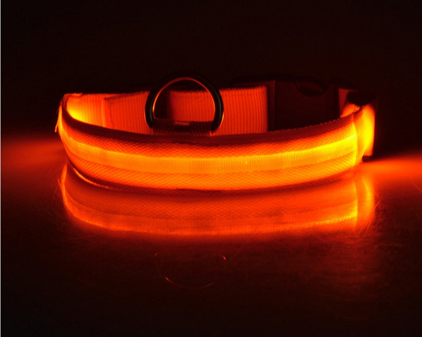 LED Luminous Dog & Cat Collar — Night Safety Flashing Glow-in-Dark Leash