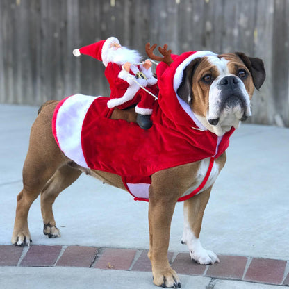 Dog Christmas Santa Costume — Festive Riding Deer Pet Outfit