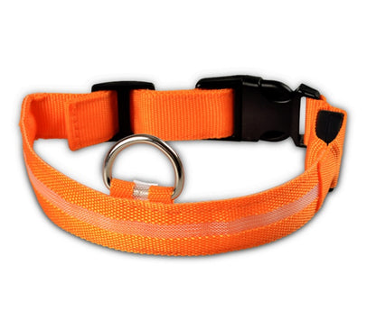 LED Luminous Dog & Cat Collar — Night Safety Flashing Glow-in-Dark Leash