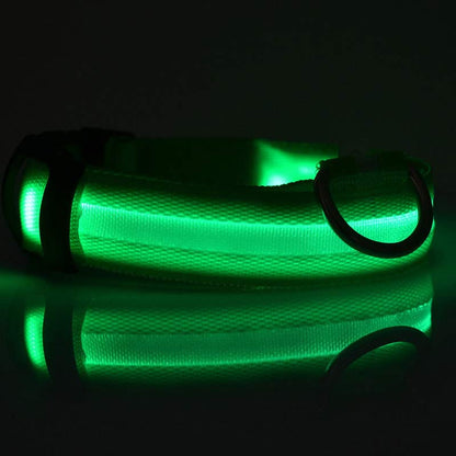 LED Luminous Dog & Cat Collar — Night Safety Flashing Glow-in-Dark Leash
