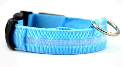 LED Luminous Dog & Cat Collar — Night Safety Flashing Glow-in-Dark Leash