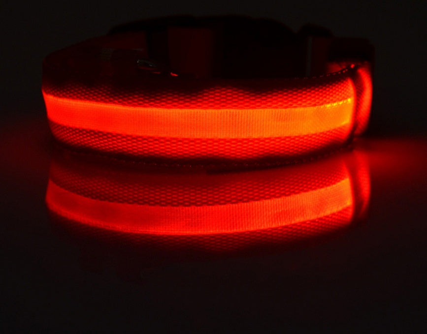 LED Luminous Dog & Cat Collar — Night Safety Flashing Glow-in-Dark Leash