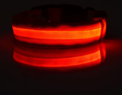LED Luminous Dog & Cat Collar — Night Safety Flashing Glow-in-Dark Leash