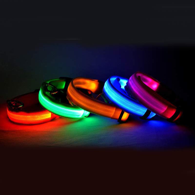 LED Luminous Dog & Cat Collar — Night Safety Flashing Glow-in-Dark Leash