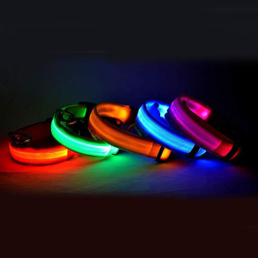 LED Luminous Dog & Cat Collar — Night Safety Flashing Glow-in-Dark Leash