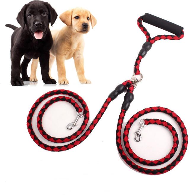 Double-Ended Dog Leash — 1-to-2 Splitter Lead with Collar