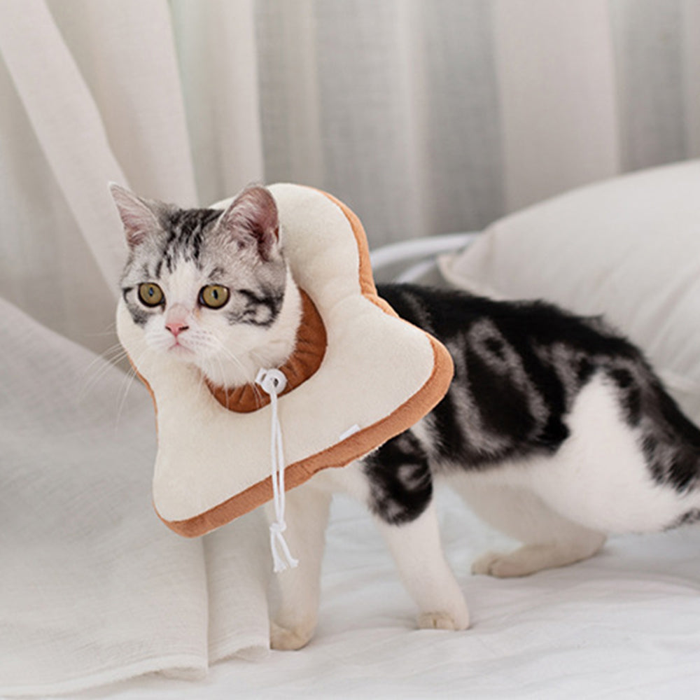 Cat Anti-Lick Recovery Collar — Adjustable Pet Cone of Shame