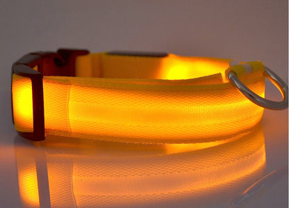 LED Luminous Dog & Cat Collar — Night Safety Flashing Glow-in-Dark Leash