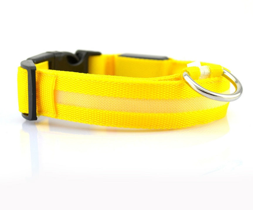 LED Luminous Dog & Cat Collar — Night Safety Flashing Glow-in-Dark Leash