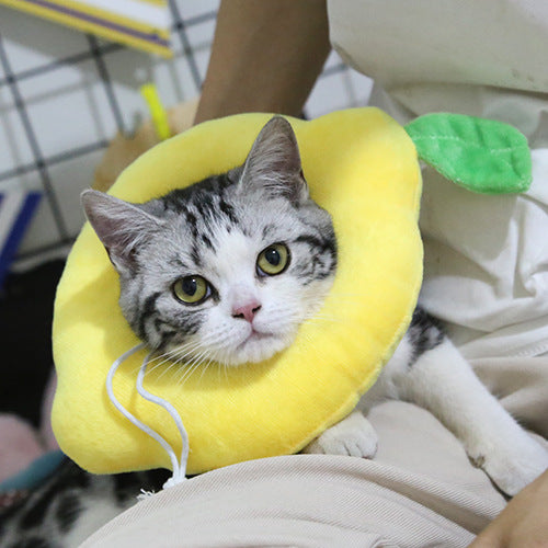 Cat Anti-Lick Recovery Collar — Adjustable Pet Cone of Shame