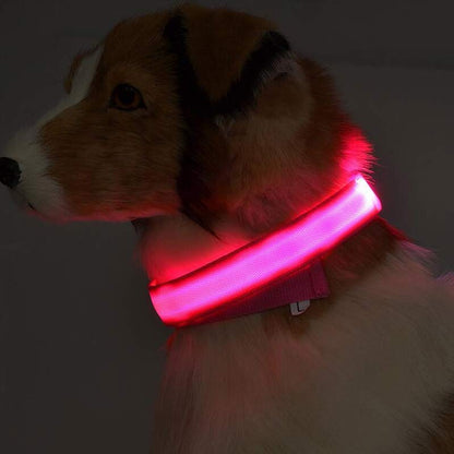 LED Luminous Dog & Cat Collar — Night Safety Flashing Glow-in-Dark Leash