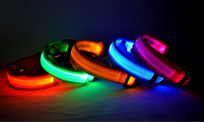 LED Luminous Dog & Cat Collar — Night Safety Flashing Glow-in-Dark Leash