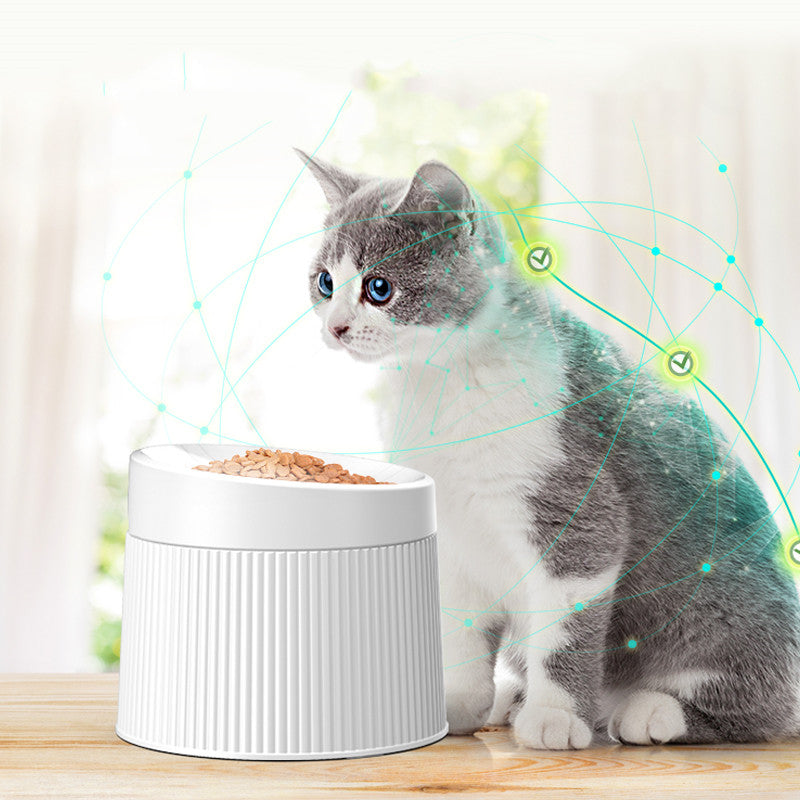 Geometric Double Cat Bowl — Stylish Pet Food & Water Dish