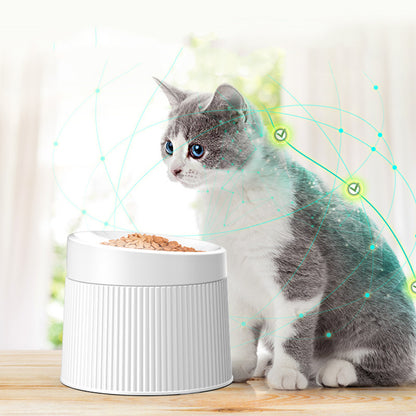 Geometric Double Cat Bowl — Stylish Pet Food & Water Dish