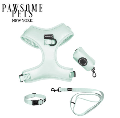 Mint Green Dog Walking Bundle – Silk Harness, Collar, Lead & Bowtie