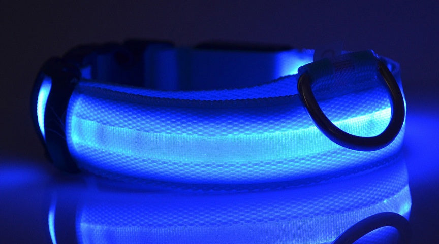 LED Luminous Dog & Cat Collar — Night Safety Flashing Glow-in-Dark Leash