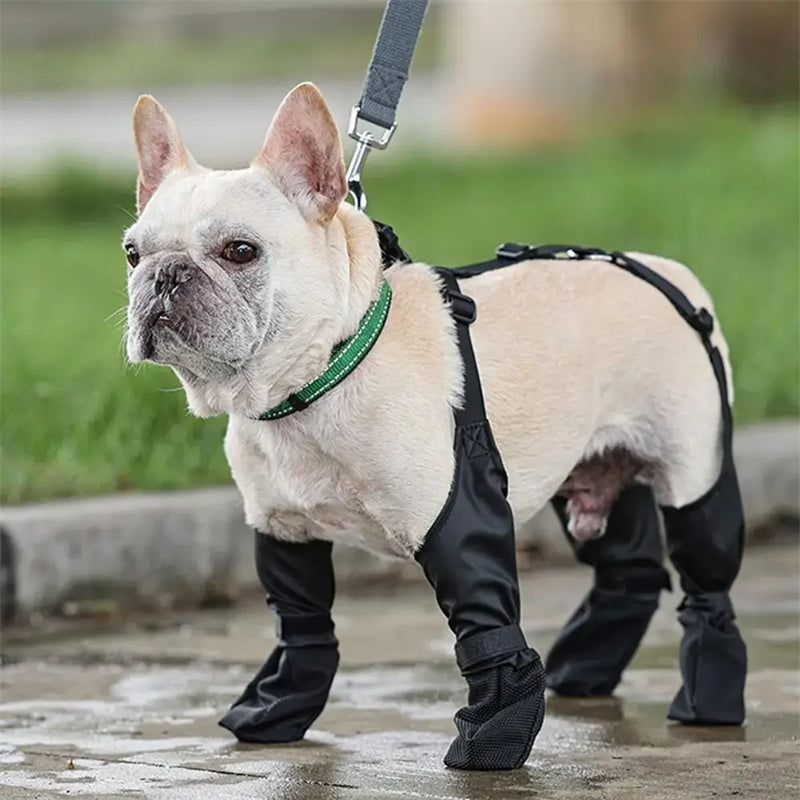 Waterproof Adjustable Dog Boots — Outdoor Breathable Pet Paw Protectors