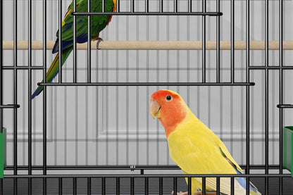Double Layer Decorative Bird Cage — Large Ornamental Parrot Cage