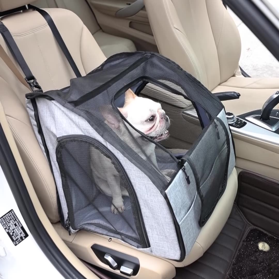 Portable Dog Travel Cage & Kennel — Foldable Pet Carrier Crate